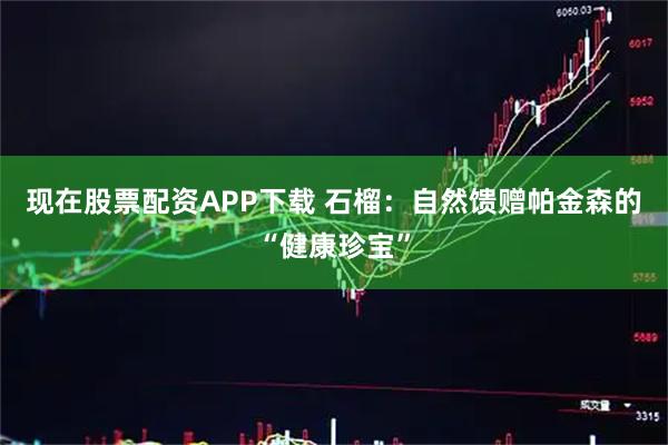 现在股票配资APP下载 石榴：自然馈赠帕金森的“健康珍宝”