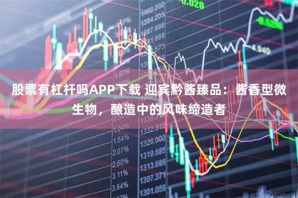 股票有杠杆吗APP下载 迎宾黔酱臻品：酱香型微生物，酿造中的风味缔造者